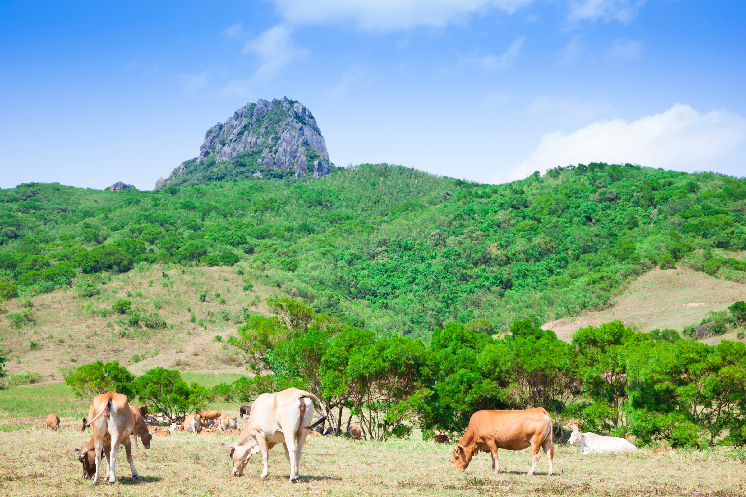 kenting national park (4).webp